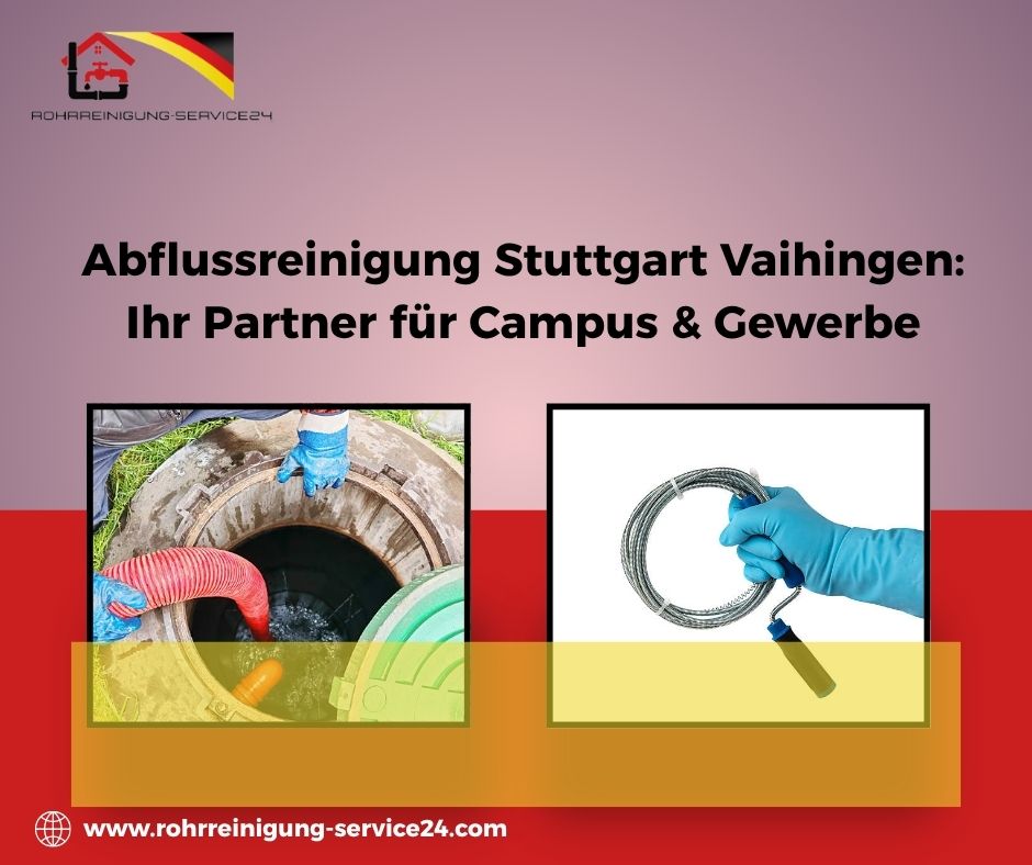 Diagnose und Prävention: Der Schlüssel zum Erfolg